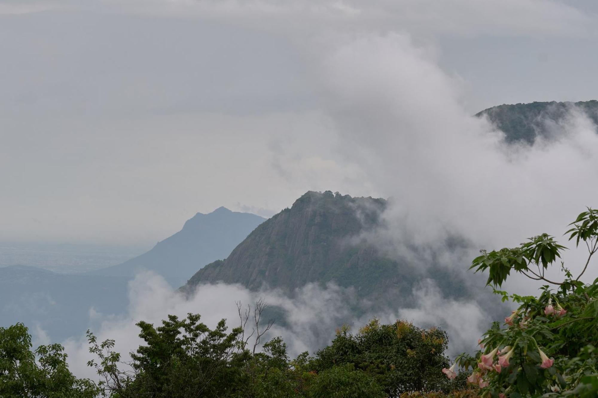 De Rock Jungle Living Resort Coonoor Exteriör bild