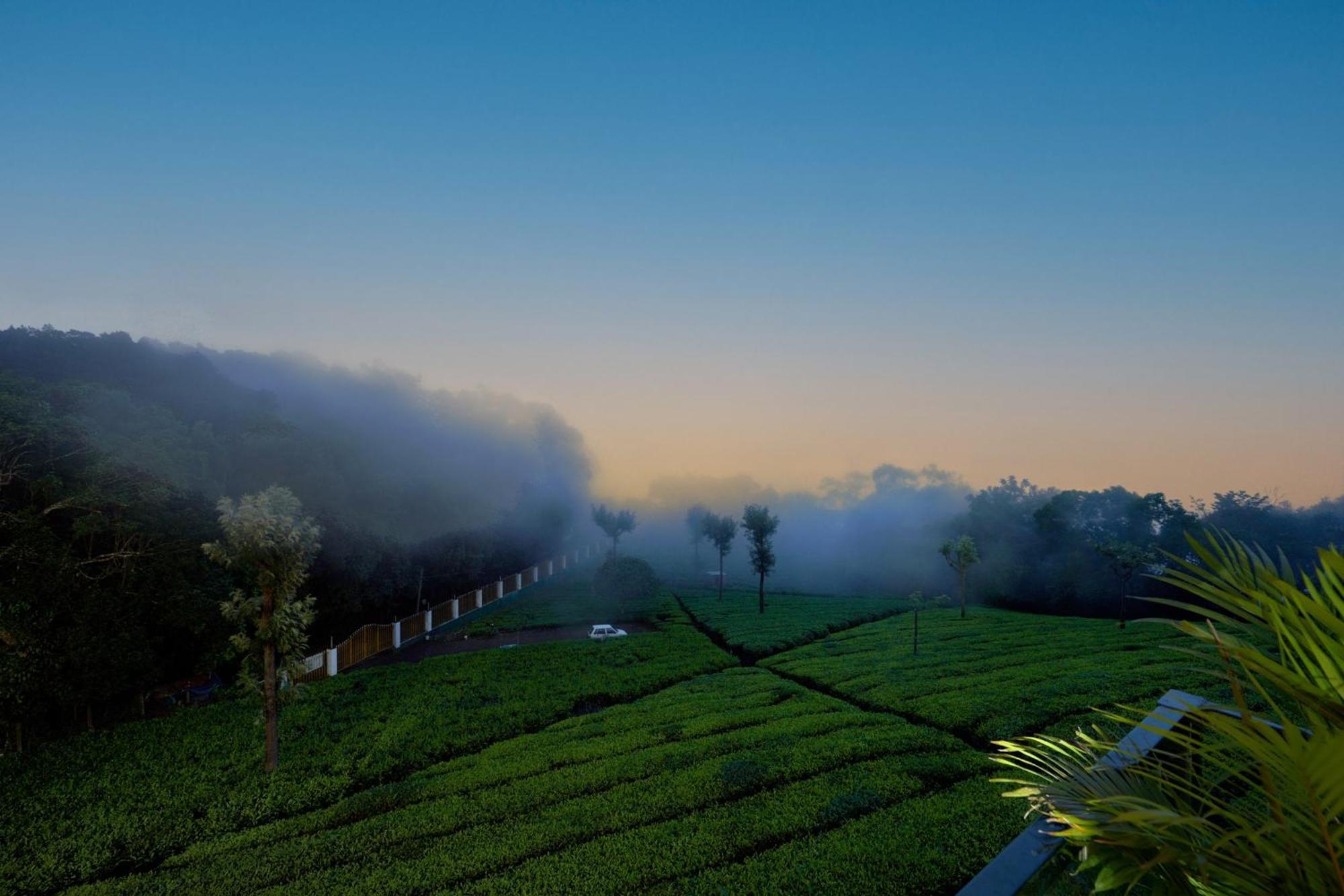 De Rock Jungle Living Resort Coonoor Exteriör bild