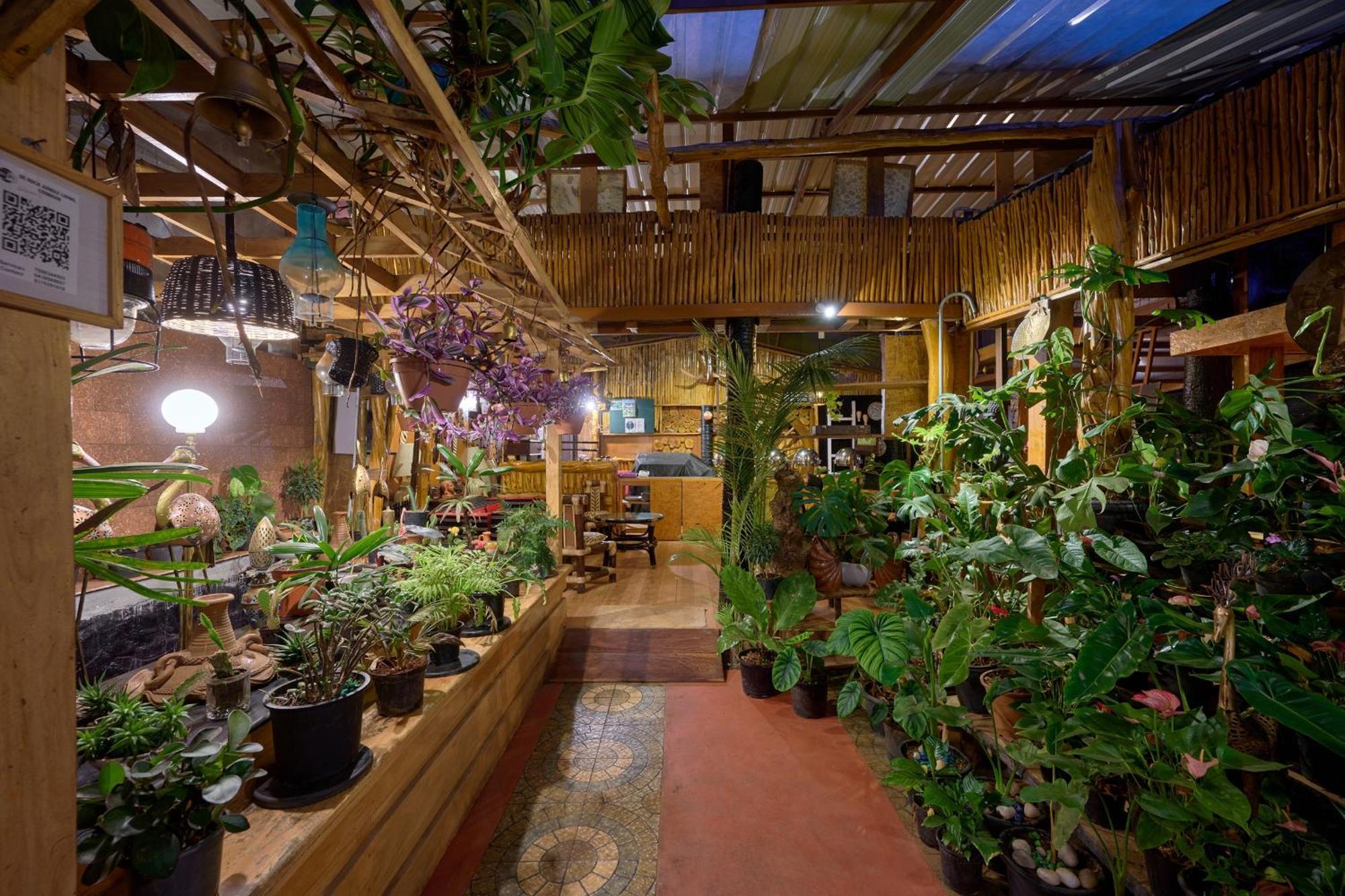 De Rock Jungle Living Resort Coonoor Exteriör bild