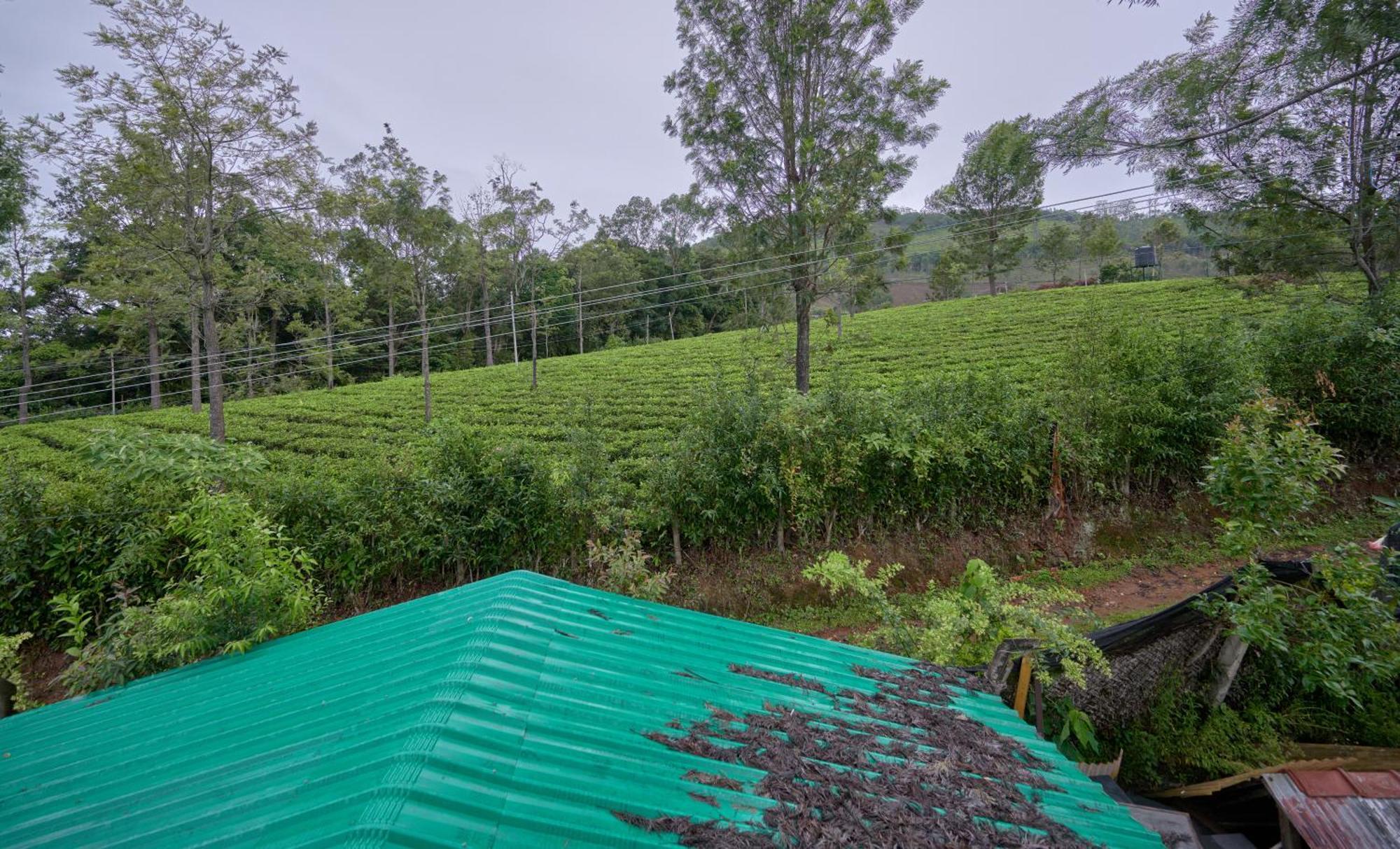 De Rock Jungle Living Resort Coonoor Exteriör bild